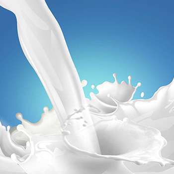 Biomolkerei Biedermann Bischofszell